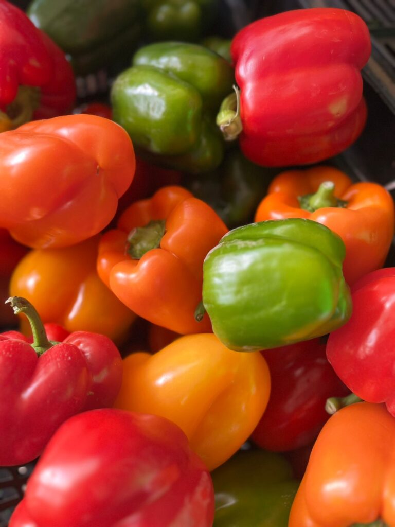 Pimientos